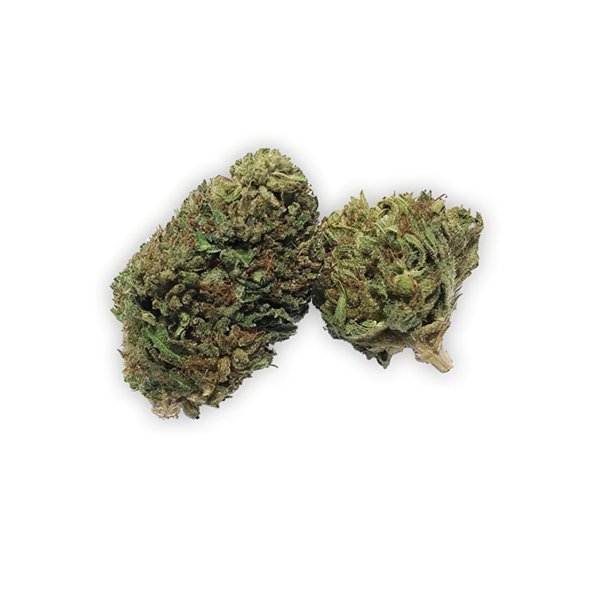 Americana CBD Flower Buds (1g) Suzy-Q