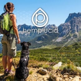 Hemplucid CBD