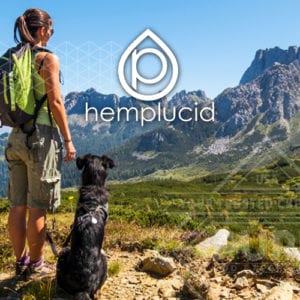 Hemplucid CBD