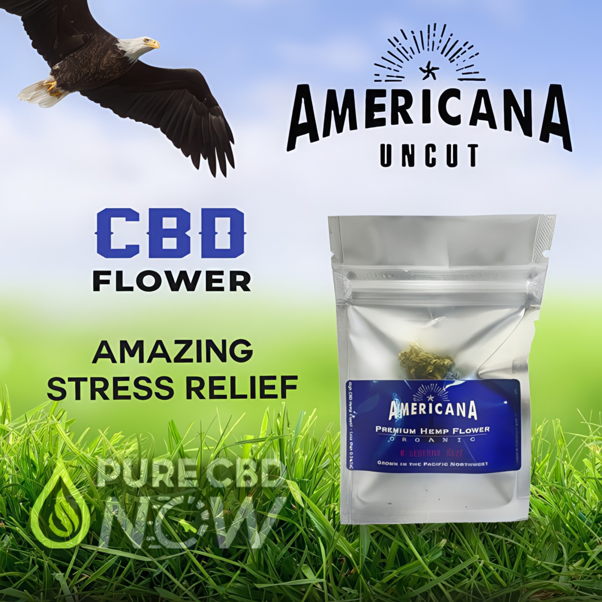 Buy CBD Flower Blueberry Haze