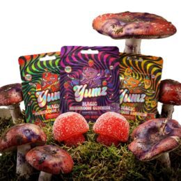 Yumz Mushroom Gummies 5 Count