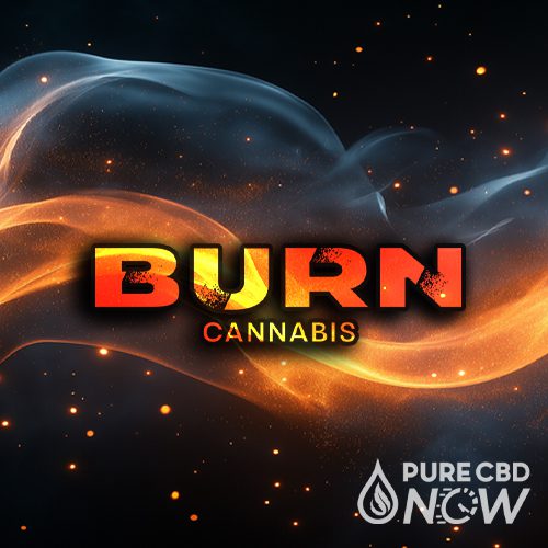 Burn cannabis