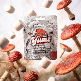YUMZ Magic Nootropic Marshmallows | 5 Pieces Per Pack
