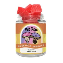 Psy Guys Microdose Mushroom Gummies – Groovy