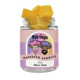 Psy Guys Microdose Mushroom Gummies – Vibe