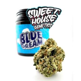 Sweet House Genetics Premium Blue Dream THC-A Flower 3.5g