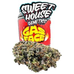 Sweet House Genetics Premium Gas Face THC-A Flower – 3.5g