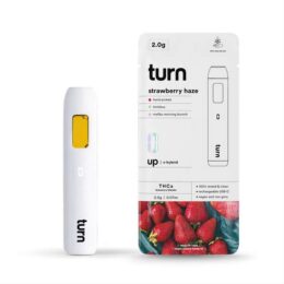 Turn Hemp THCa Blend Disposable Vape Pen 2g (Sativa)