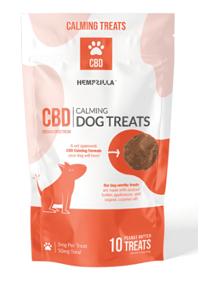 Using CBD to Ease Dog Anxiety